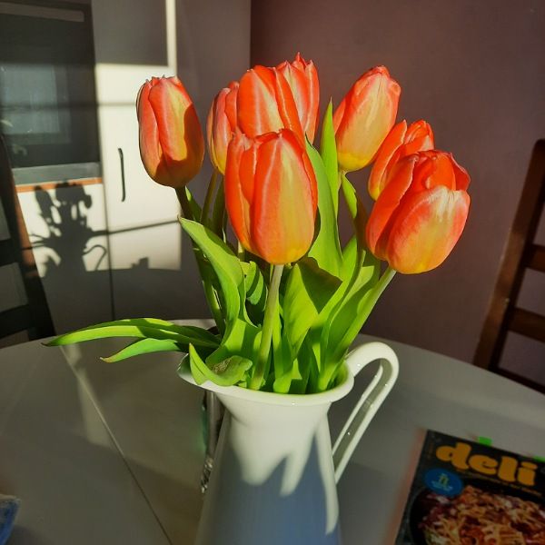 Tulpen in Vase im April