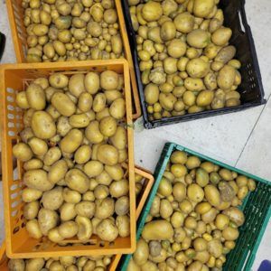 Kartoffelernte in Kisten von oben fotografiert