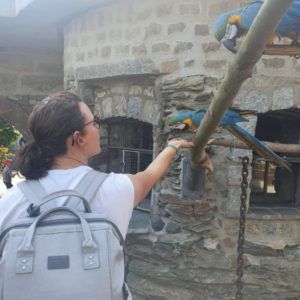 Frau füttert Ara-Papagei aus der Hand