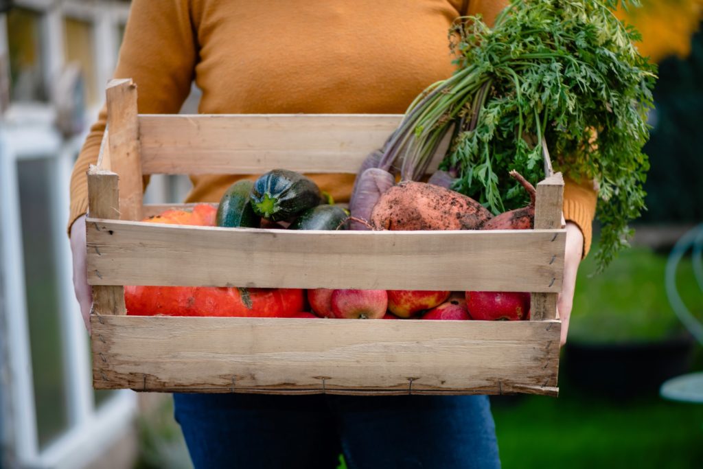 Frau mit Holzkiste in den Händen, wo Obst und Gemüse im Herbst zu sehen sind
