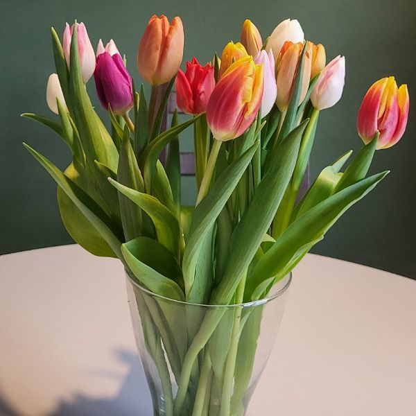 Tulpen in Vase auf Esstisch