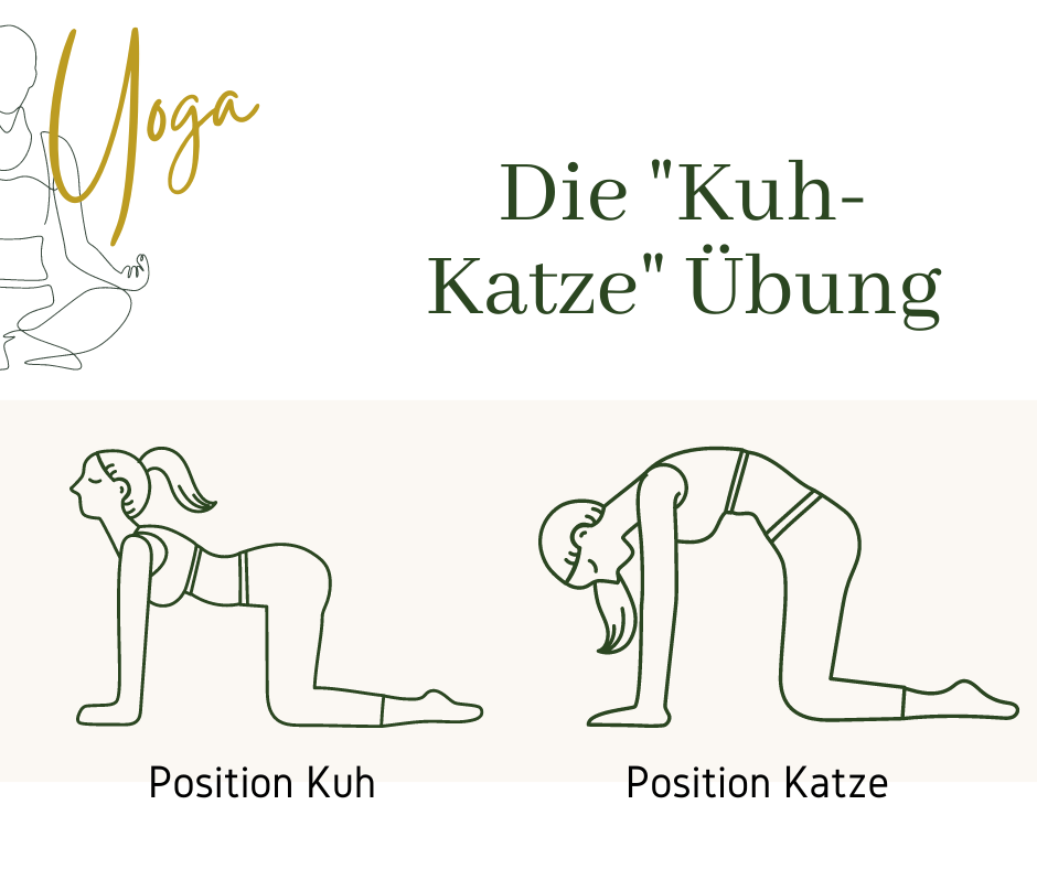 Yoga Übung Kuh-Katze als Entspannungstechnik in einer Grafik dargestellt